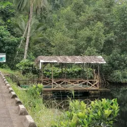 São Tomé Island Scenic Drives - Guadalupe