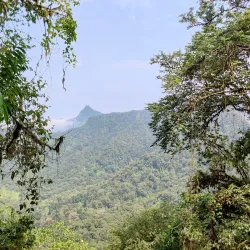 Obô Natural Park - Santa Cruz