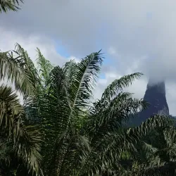 Pico Cão Grande - Santa Cruz