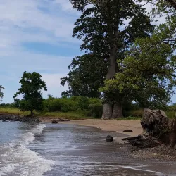 Praia das Conchas - Santa Cruz
