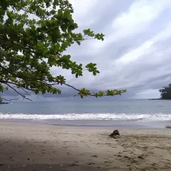 Praia Micondo - Santa Cruz