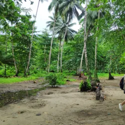 Praia Micondo - Santa Cruz