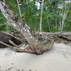 Praia Micondo - Santa Cruz
