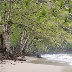 Praia Micondo - Santa Cruz