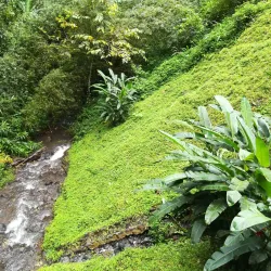 Cascade São Nicolau - Santana