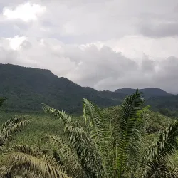 Pico Cão Grande - Santana