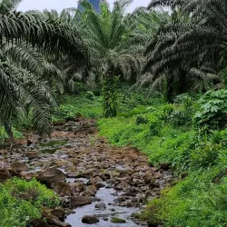 Pico Cão Grande - Santana