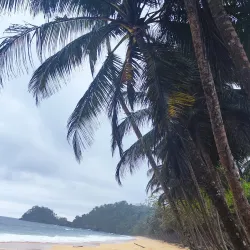 Praia Jalé - Santana