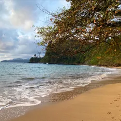 Praia Jalé - Santana