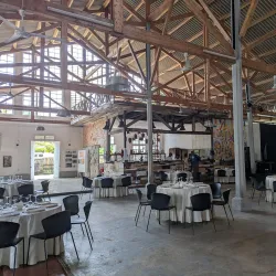 Cocoa Plantations Tour - Santo Amaro