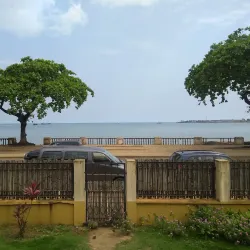 Cocoa Plantations Tour - Santo Amaro