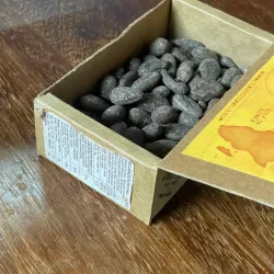 Cocoa Plantations Tour - Santo Amaro