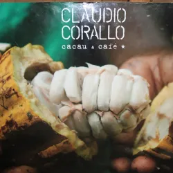 Cocoa Plantations Tour - Santo Amaro