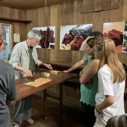 Cocoa Plantations Tour - Santo Amaro