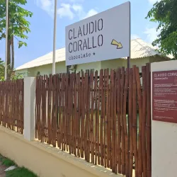 Cocoa Plantations Tour - Santo Amaro