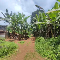 Ilheu das Rolas - Santo Amaro