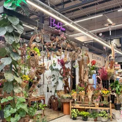 Local Market of Santo Amaro - Santo Amaro