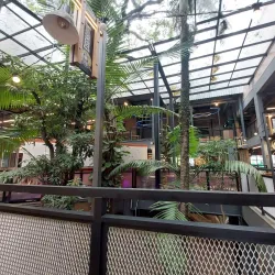 Local Market of Santo Amaro - Santo Amaro