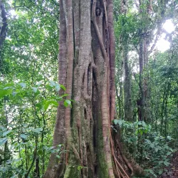 Obo National Park - Santo Amaro