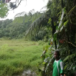 Obo National Park - Santo Amaro