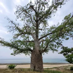 Praia das Conchas - Santo Amaro