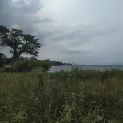 Praia das Conchas - Santo Amaro