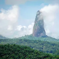 Obo National Park - Sao Tome