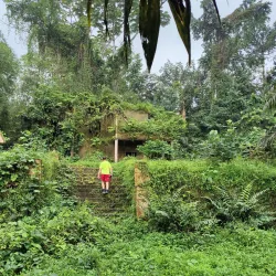 Obo National Park - Sao Tome