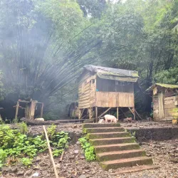 Obo National Park - Sao Tome