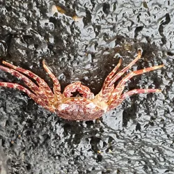 Praia das Conchas - Sao Tome