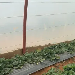 Al-Muftaha Village - Abha