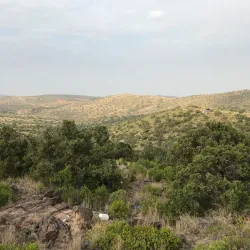 Al-Soudah Park - Abha