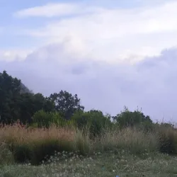 Al-Soudah Park - Abha