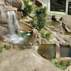 Asir National Park - Abha