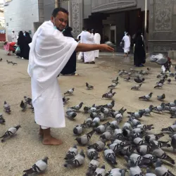 Al Badaya Natural Park - Al Badaya