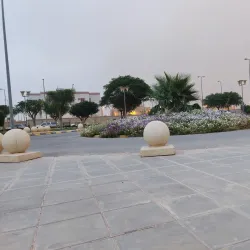 Al Badaya Oasis - Al Badaya