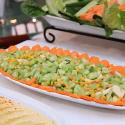 Al Badia Desert - Al Badia (Albadya)