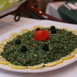 Al Badia Desert - Al Badia (Albadya)