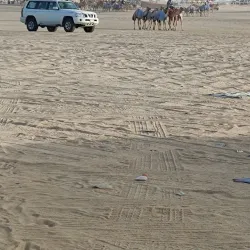 Camel Racing Tracks - Al Badia (Albadya)