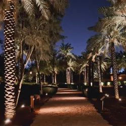 Historic Forts and Watchtowers - Al Badia (Albadya)