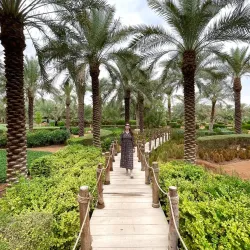 Historic Forts and Watchtowers - Al Badia (Albadya)