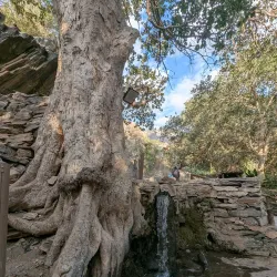 Traditional Bedouin Villages - Al Badia (Albadya)