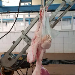 Al Bahah Camel Market - Al Bahah