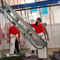 Al Bahah Camel Market - Al Bahah