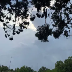 Al Bahah Forest Park - Al Bahah