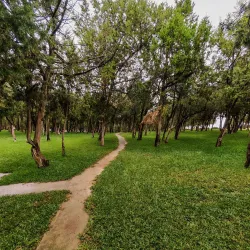 Al Bahah Forest Park - Al Bahah
