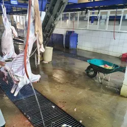 Al Bahah Traditional Market (Souq) - Al Bahah