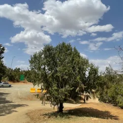 Al Bashayer Community Park - Al Bashayer