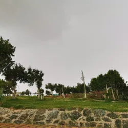 Al Bashayer Community Park - Al Bashayer