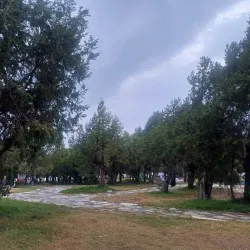 Al Bashayer Community Park - Al Bashayer